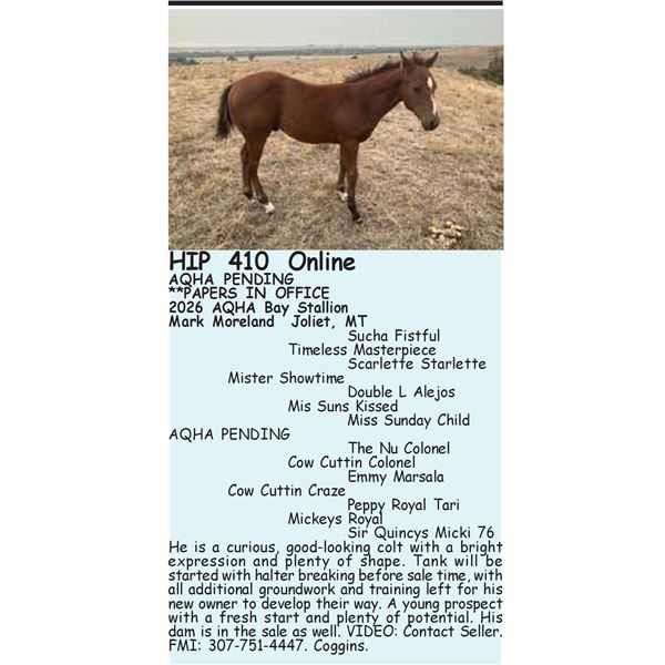 AQHA PENDING