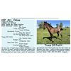 Image 1 : AQHA PENDING