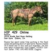 Image 1 : Roanie
