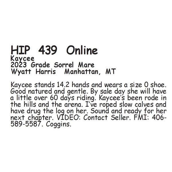 Kaycee