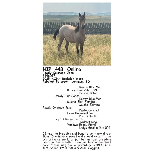 Rowdy Colorado Jane