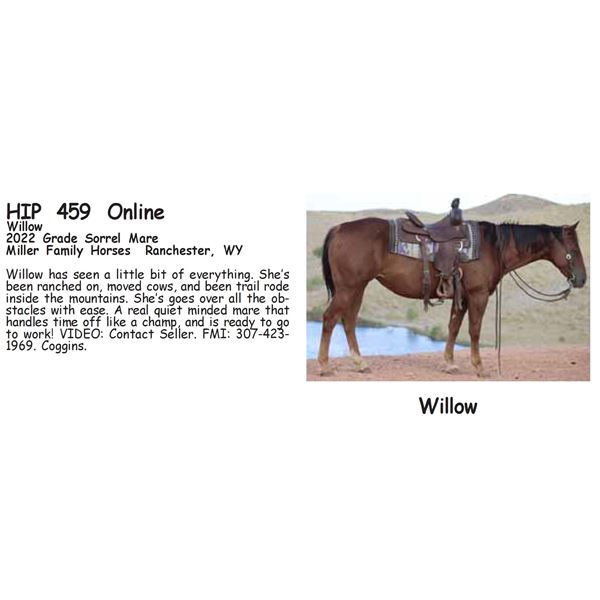 Willow