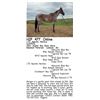 Image 1 : LTD Apache Heiress