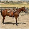 Image 3 : BD Two Eye Winner