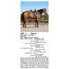 Image 1 : Little Eddy Two Song