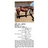 Image 1 : MX Sterling Dun It