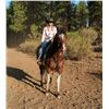 Image 3 : Bandit