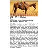 Image 1 : Tonto