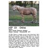 Image 1 : Rosco