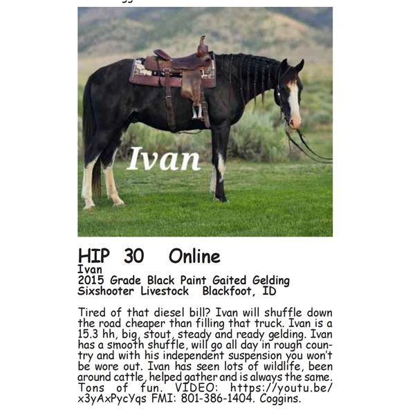 Ivan
