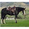 Image 7 : Ivan