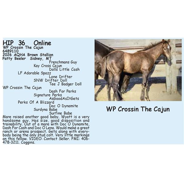 WP Crossin The Cajun