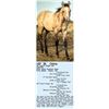 Image 1 : WP French Ginger Gal