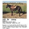 Image 1 : Brownie