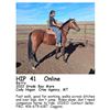 Image 1 : Betty