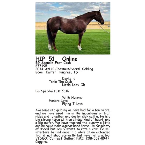 BG Spendin Fast Cash