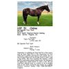 Image 1 : BG Spendin Fast Cash