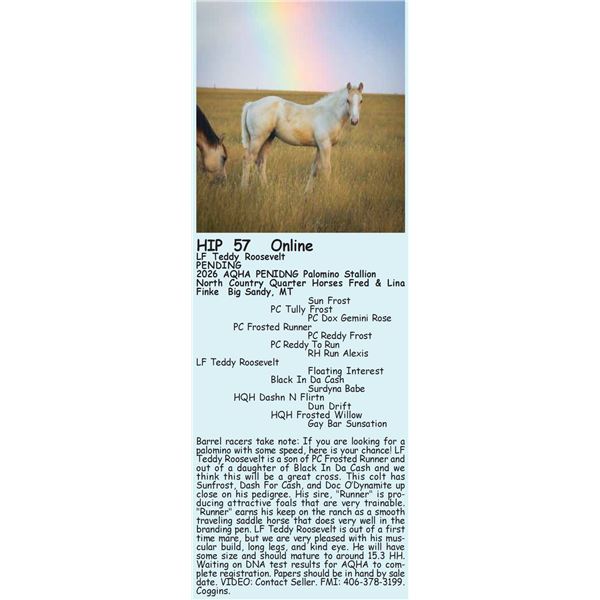 LF Teddy Roosevelt