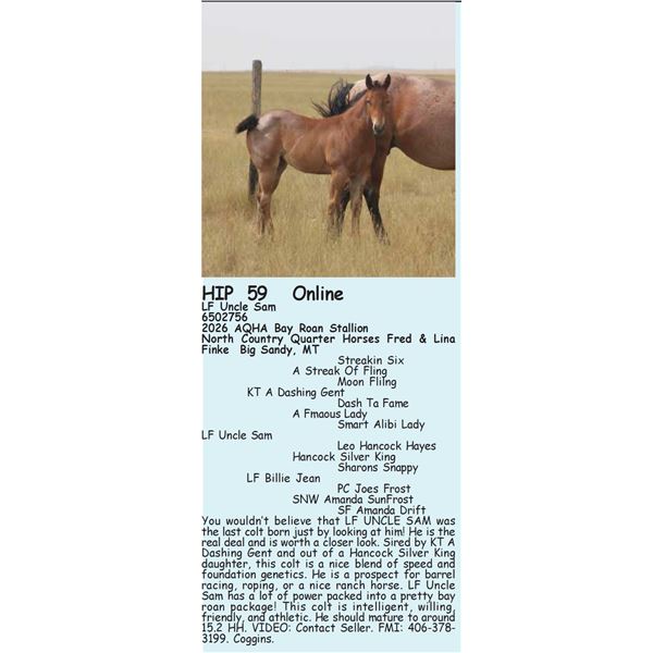 LF Uncle Sam