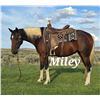 Image 7 : Miley