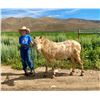 Image 4 : Concho