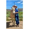 Image 5 : Concho