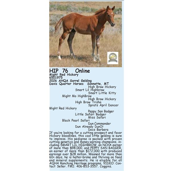Might Red Hickory