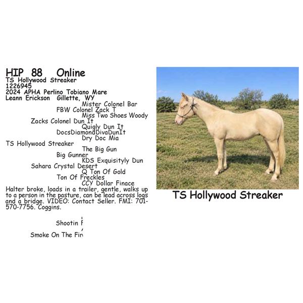 TS Hollywood Streaker