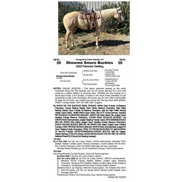 Showme Smore Buckles