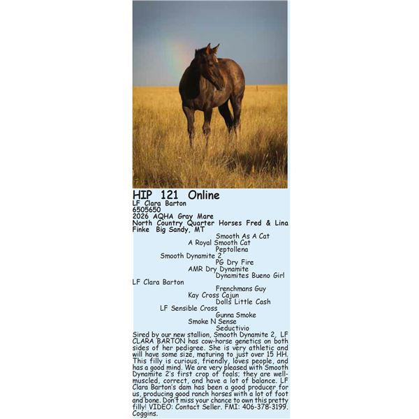 LF Clara Barton