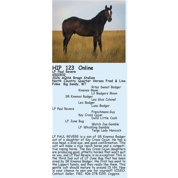 LF Paul Revere