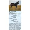 Image 1 : LF Paul Revere