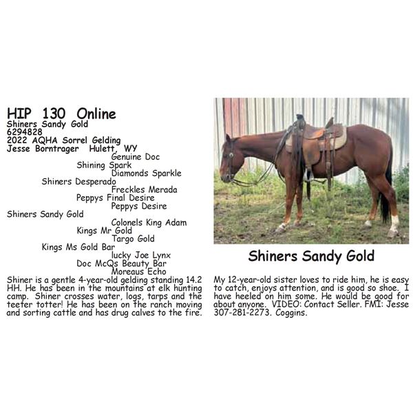 Shiners Sandy Gold