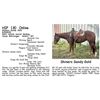 Image 1 : Shiners Sandy Gold