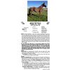 Image 1 : Stepn On Toez