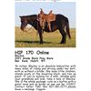 Image 1 : Blackie