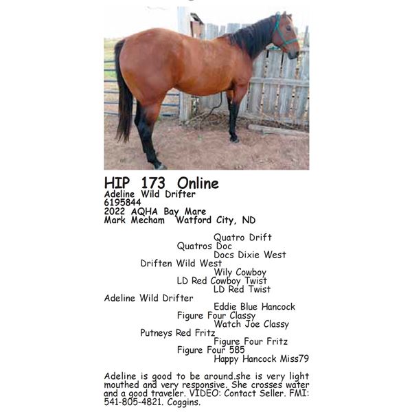 Adeline Wild Drifter