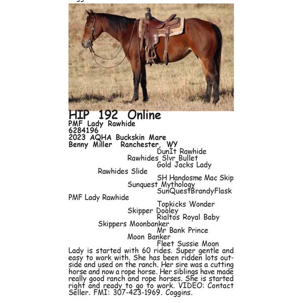 PMF Lady Rawhide