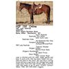 Image 1 : PMF Lady Rawhide