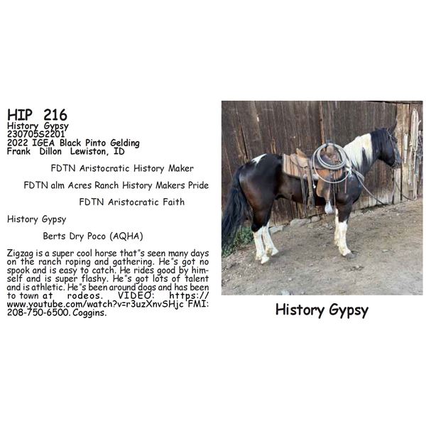 History Gypsy