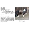 Image 1 : History Gypsy