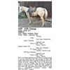 Image 1 : Squaw Creek Girl
