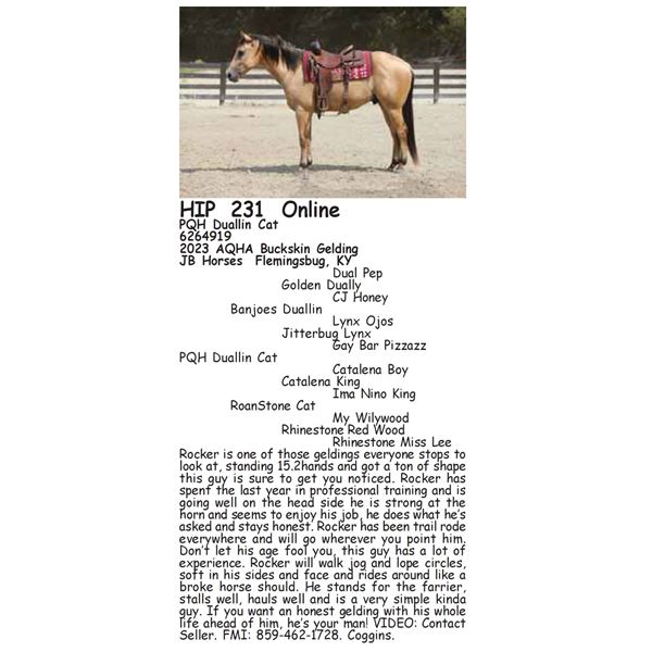 PQH Duallin Cat