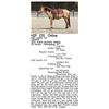 Image 1 : PQH Duallin Cat