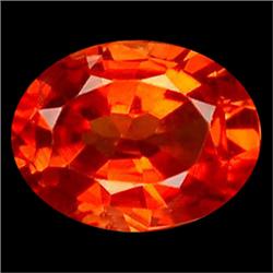 1.54ct Great Orange Sapphire Oval Heated Only AAA  (GEM-13005)