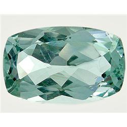 2.76ct Mind Blowing Natural Green Aquamarine (GEM-8547)