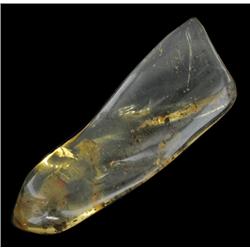 185ct 3 Inch Huge Prehistoric Amber (GEM-20451)