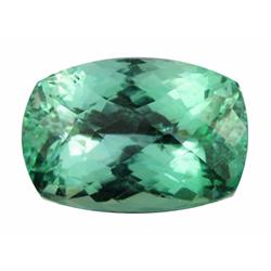 78.50ct Natural Beautiful Patroke Green Kunzite  Appraisal Estimate $12168 (GEM-19250)