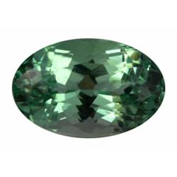 14.1ct Jumbo Richest Flawless Green Kunzite Appraisal Estimate $2186 (GEM-18253)