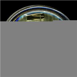 .75oz Franklin Mint PR70 DCAM 24k plated Sterling Silver Round History of the American Presidency L.